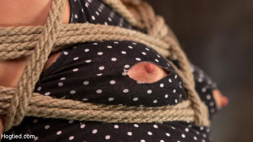 Kink 'Submits To Grueling Bondage and Torment!!!' protagonizando AJ Applegate (foto 14)