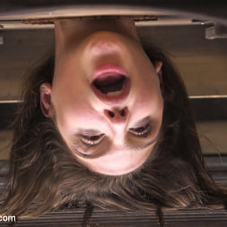 Abella Danger に 'Kink' HRナイトメア (サムネイル 11)