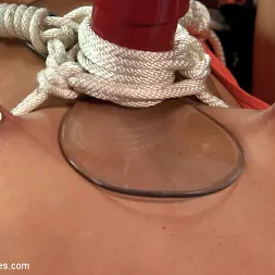 Adriana Chechik に 'Kink' メガ・カマーの帰還 (サムネイル 2)