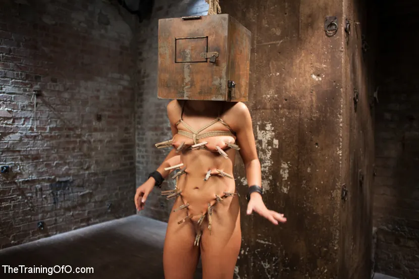 Adriana Chechik に 'モデルやスレーブの訓練。 2日目' from 'Kink' (写真 1) Kink 'モデルやスレーブの訓練。 2日目' 主演 Adriana Chechik (写真 1)