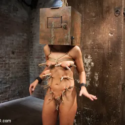 Adriana Chechik に 'Kink' モデルやスレーブの訓練。 2日目 (サムネイル 1)