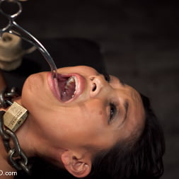 Adrianna Luna に 'Kink' トレーニングAdrianna Luna-Day 4 Extreme Torment (サムネイル 5)