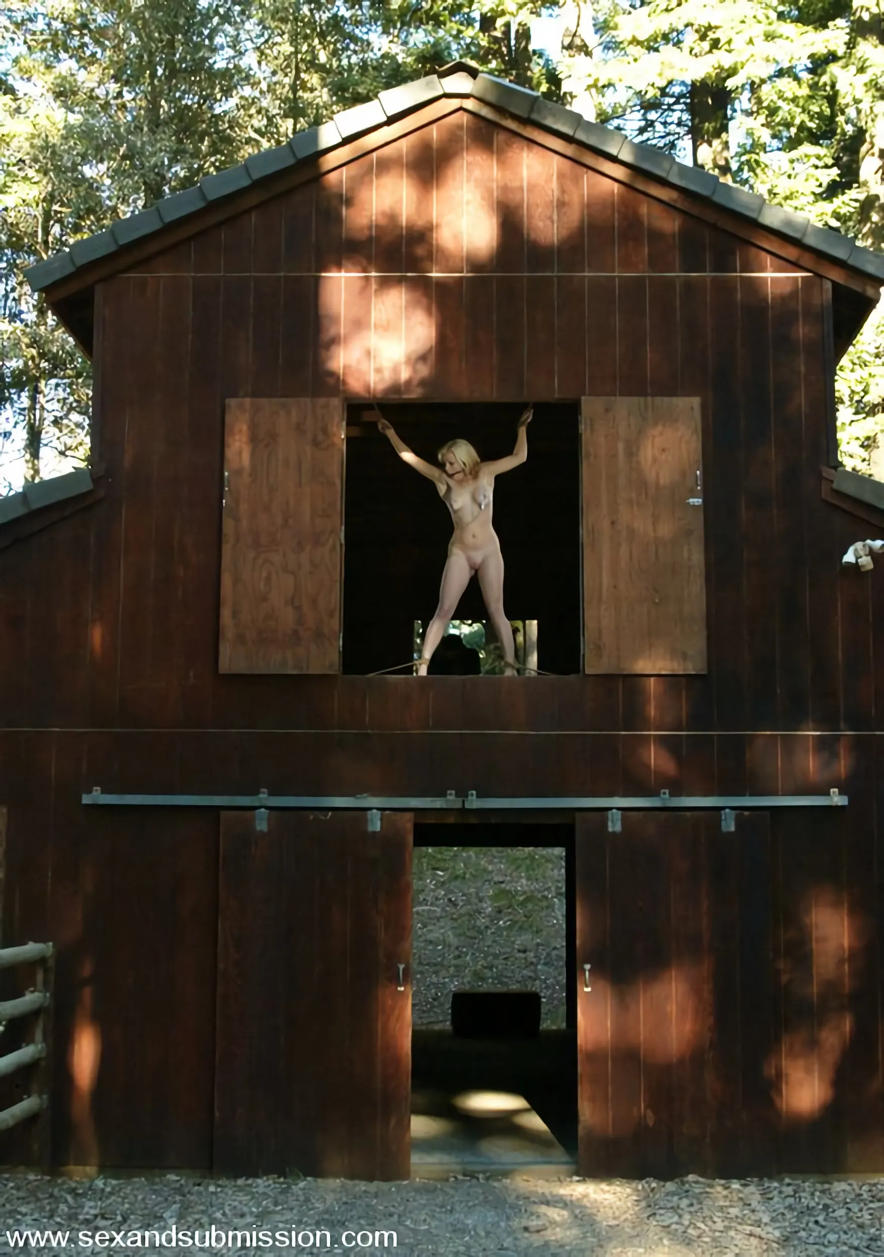 Kink 'and Lee Stone' protagonizando Adrianna Nicole (foto 6)