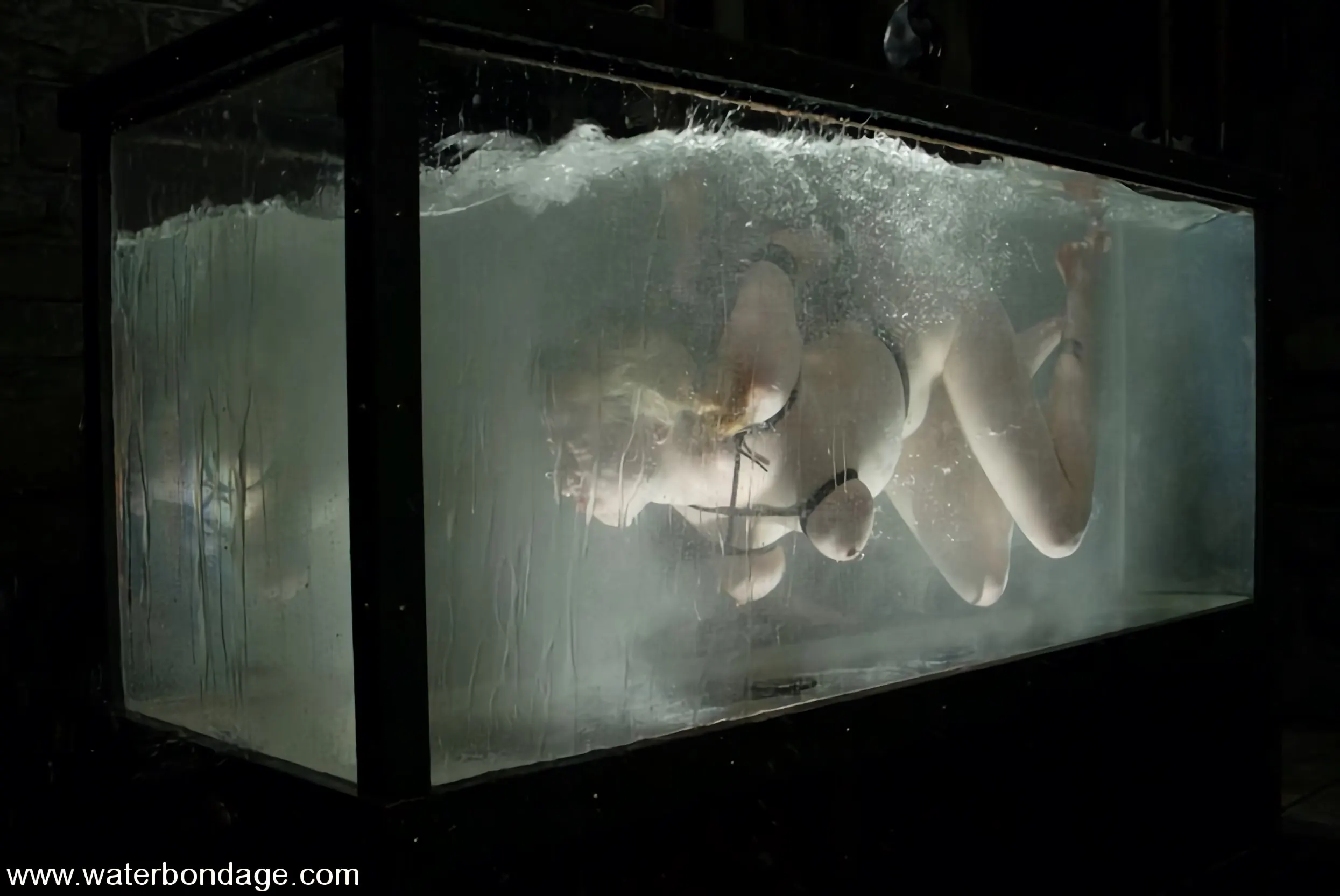 アドリアナ・ニコール に 'アドリアナ・ニコール' from 'Kink' (写真 13) Kink 'アドリアナ・ニコール' 主演 アドリアナ・ニコール (写真 13)