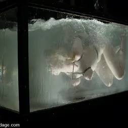 Adriana Nicole en Adriana Nicole (foto 13) Adriana Nicole en 'Kink' Adriana Nicole (Miniatura 13)