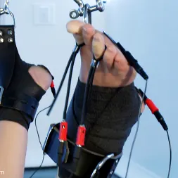 Aiden Starr in 'Kink' Anal Princess Roxy Raye Needs to Prove Herself! (Thumbnail 4)