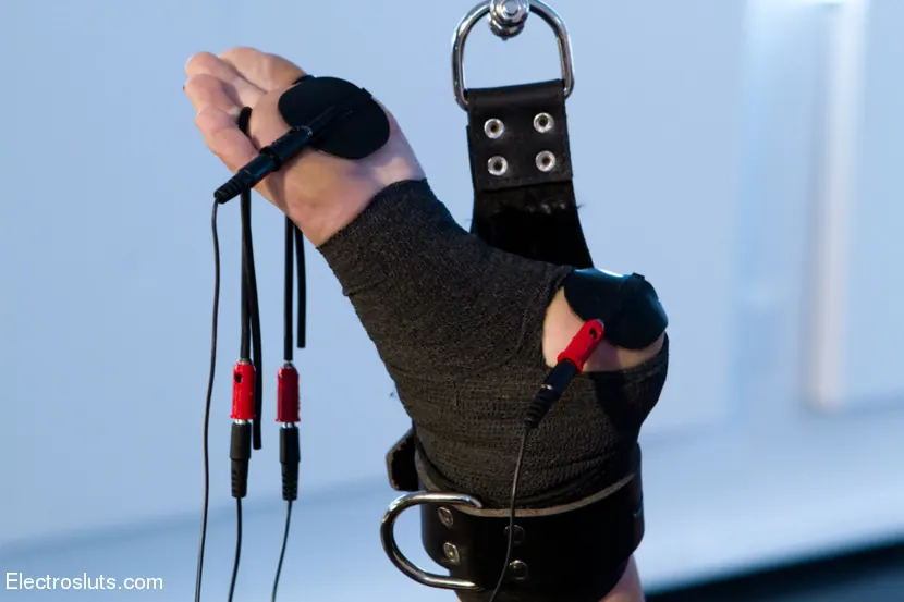 Kink 'Anal Princess Roxy Raye Needs to Prove Herself!' starring Aiden Starr (Photo 8)