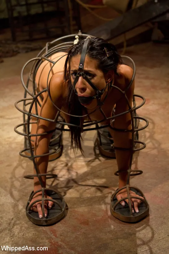 Kink 'Shy Slut' starring Aiden Starr (Photo 4)