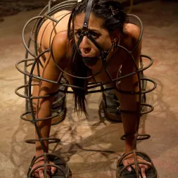 Aiden Starr in 'Kink' Shy Slut (Thumbnail 4)