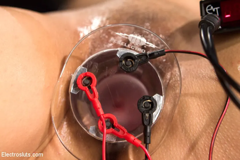 Kink 'The Handmaid's Audition' starring Aiden Starr (Photo 3)