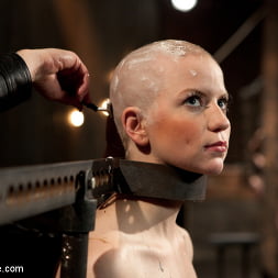Alani Pi に 'Kink'  -  Head Shaved Slutライブショー - パート1 (サムネイル 13)