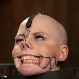 Alani Pi に 'Kink'  -  Head Shaved Slutライブショー - パート1 (サムネイル 15)