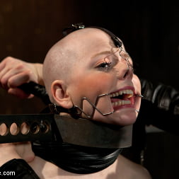 Alani Pi に 'Kink'  -  Head Shaved Slutライブショー - パート1 (サムネイル 16)