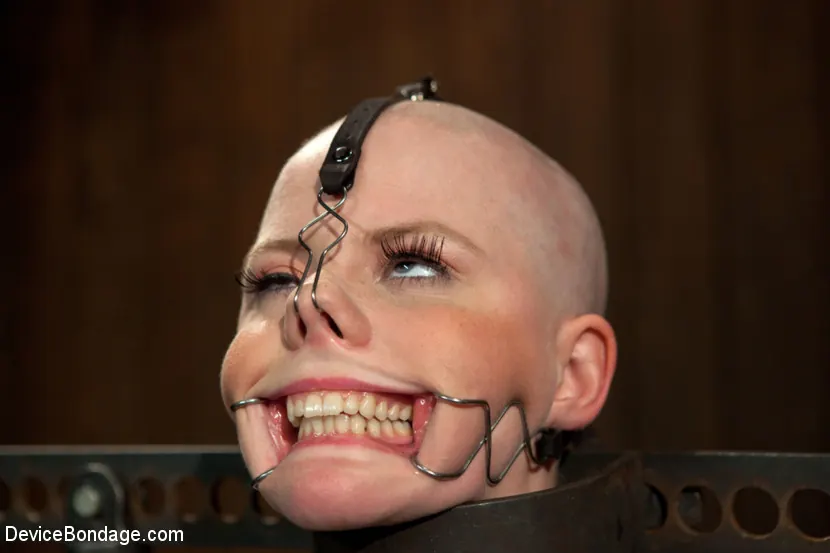 Kink '- Head Shaved Slut Live Show - Part 1' starring Alani Pi (Photo 15)
