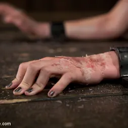 Alani Pi に 'Kink' - Head Shaved Slut Live Show - Part 2 (サムネイル 3)