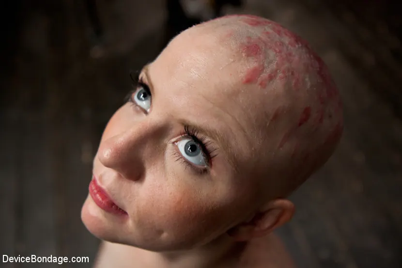 Kink '- Head Shaved Slut Live Show - Part 2' 主演 Alani Pi (写真 7)