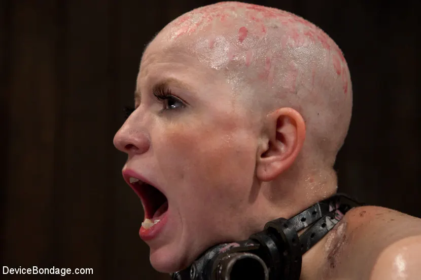 Kink '- Head Shaved Slut Live Show - Part 2' 主演 Alani Pi (写真 14)