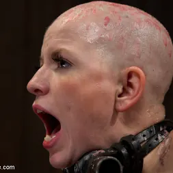 Alani Pi に 'Kink' - Head Shaved Slut Live Show - Part 2 (サムネイル 14)