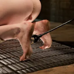 Alani Pi に 'Kink' 磁器の人形がElecrto-DPを感じる (サムネイル 11)