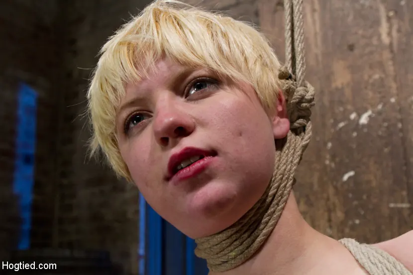 Kink 'Alan PiをHogTiedにようこそ' 主演 Alani Pi (写真 11)