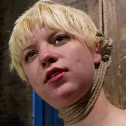 Alani Pi に Alan PiをHogTiedにようこそ (写真 11) Alani Pi に 'Kink' Alan PiをHogTiedにようこそ (サムネイル 11)