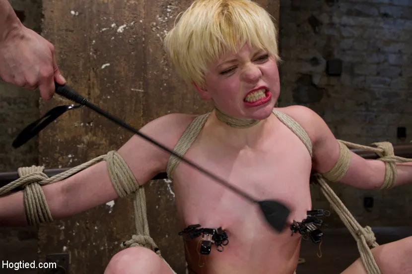 Kink 'Alan PiをHogTiedにようこそ' 主演 Alani Pi (写真 14)