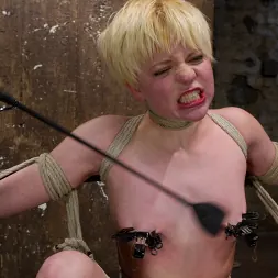 Alani Pi に Alan PiをHogTiedにようこそ (写真 14) Alani Pi に 'Kink' Alan PiをHogTiedにようこそ (サムネイル 14)