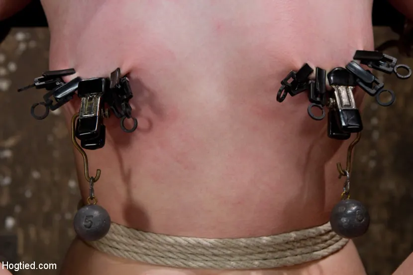 Kink 'Alan PiをHogTiedにようこそ' 主演 Alani Pi (写真 16)