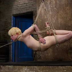 Alani Pi に Alan PiをHogTiedにようこそ (写真 21) Alani Pi に 'Kink' Alan PiをHogTiedにようこそ (サムネイル 21)