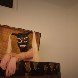 Alexa Addams に 'Kink' Is: The Unruly Fuck Slut (サムネイル 7)