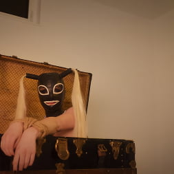 Alexa Addams に 'Kink' アレクサ・アダムズは:手に負えないファックふしだらな女 (サムネイル 7)