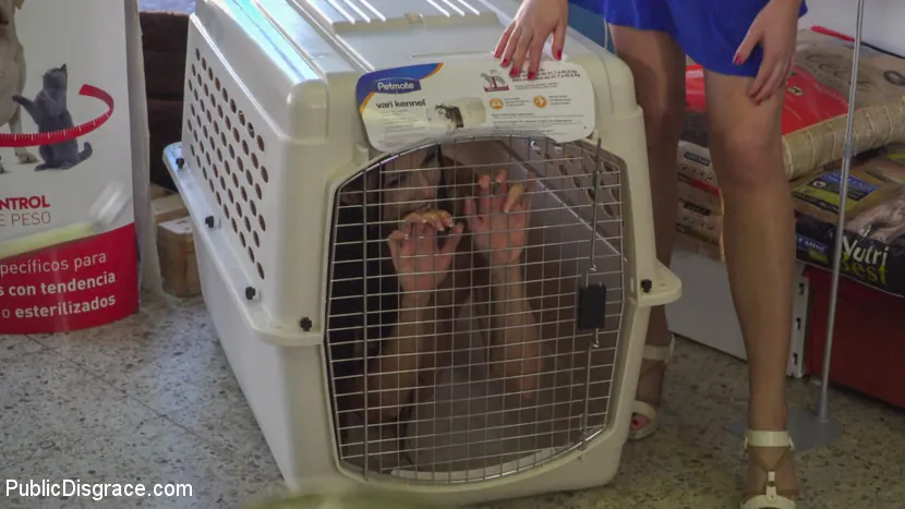 Kink '¡Mascota guarrilla pide un hueso! - Parte 2' protagonizando Alexa Tomas (foto 2)