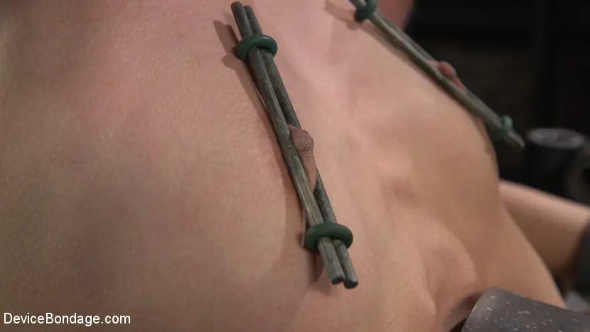 Kink 'Alexis Tae: Exploring The Dark Side of Porn' starring Alexis Tae (Photo 4)