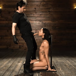 Alexis Tae に 'Kink' ボンデージアナルファックおもちゃ (サムネイル 6)