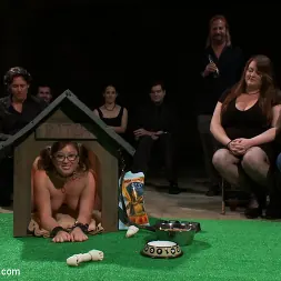 Alexxa Bound に 'Kink' 初恋！ふわふわのペットは従順な雌犬になった。 (サムネイル 14)