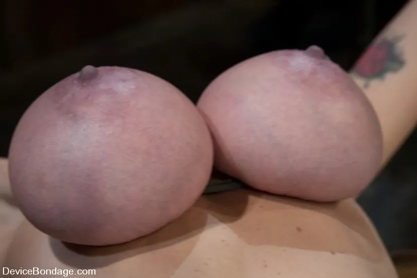 Kink 'Huge Honking Tits' protagonizando Alia Janine (foto 10)