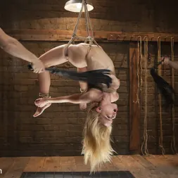 Alina West に ハードボンデージで鍛えられたアナル・スレーブ:Alina West Day One (写真 7) Alina West に 'Kink' ハードボンデージで鍛えられたアナル・スレーブ:Alina West Day One (サムネイル 7)