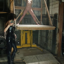 Alissa Ashley en 'Kink' Alissa Ashley (Miniatura 1)