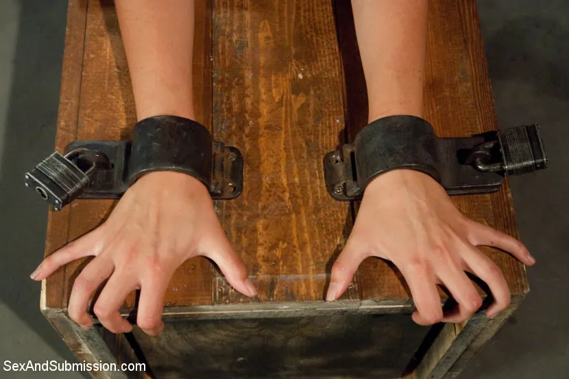 Kink 'Defiant Bound Slut' starring Allie Haze (Photo 8)