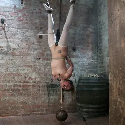 Allie Haze en 'Kink' Tan inocente, tan indefensa, tantos orgasmos. (Miniatura 4)