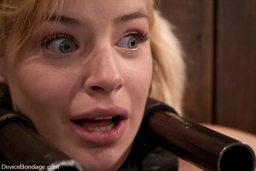 Kink '19yr olds, and getting fucked by a machine.' starring Ally Ann (Photo 8)