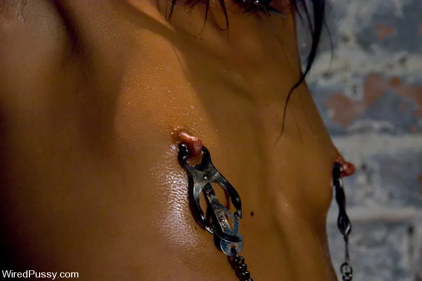 Kink 'ペントハウスペットは彼女の猫を結び付ける！' 主演 Alyssa Reece (写真 10)