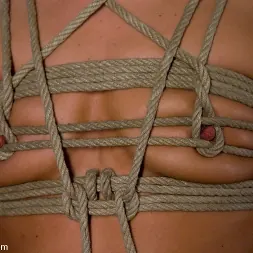 Alyssa Reece in 'Kink' Penthouse Pet gets her pussy wired!!! (Thumbnail 15)