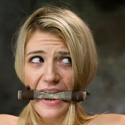 Amanda Tate in Beautiful First Timer Gets Stretched and Nailed (Photo 5) Amanda Tate in 'Kink' Beautiful First Timer Gets Stretched and Nailed (Thumbnail 5)