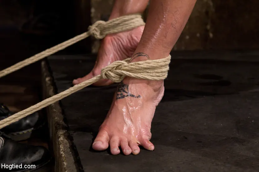 Kink 'Live Show Part 2 - Drawn and Quartered' starring Amber Rayne (Photo 16)