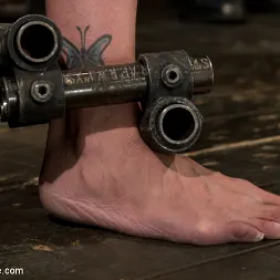 Amber Rayne en Parte 1 de 4 del rodaje en directo de febrero Breaking Amber Rayne (foto 4) Amber Rayne en 'Kink' Parte 1 de 4 del rodaje en directo de febrero Breaking Amber Rayne (Miniatura 4)