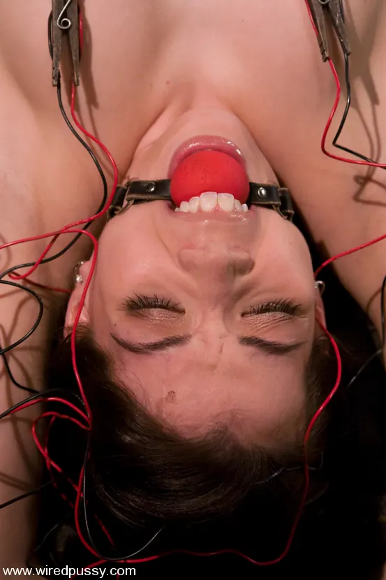 Amie in 'New Girl' from 'Kink' (Photo 5) Kink 'New Girl' starring Amie (Photo 5)
