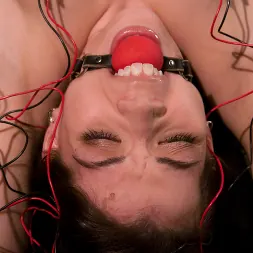 Amie in 'Kink' New Girl (Thumbnail 5)