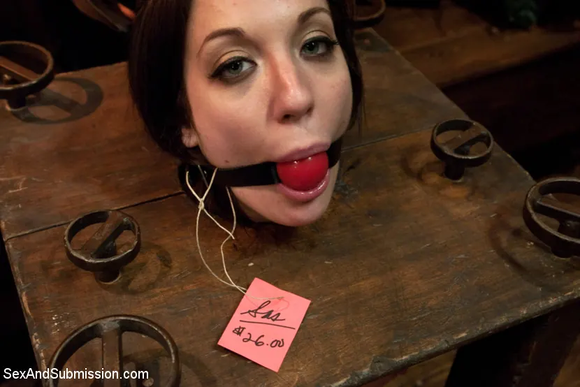 Kink 'El ladrón de tiendas' protagonizando Amy Brooke (foto 9)