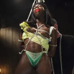 Ana Foxxx に 'Kink' Extreme Orgasms (サムネイル 1)